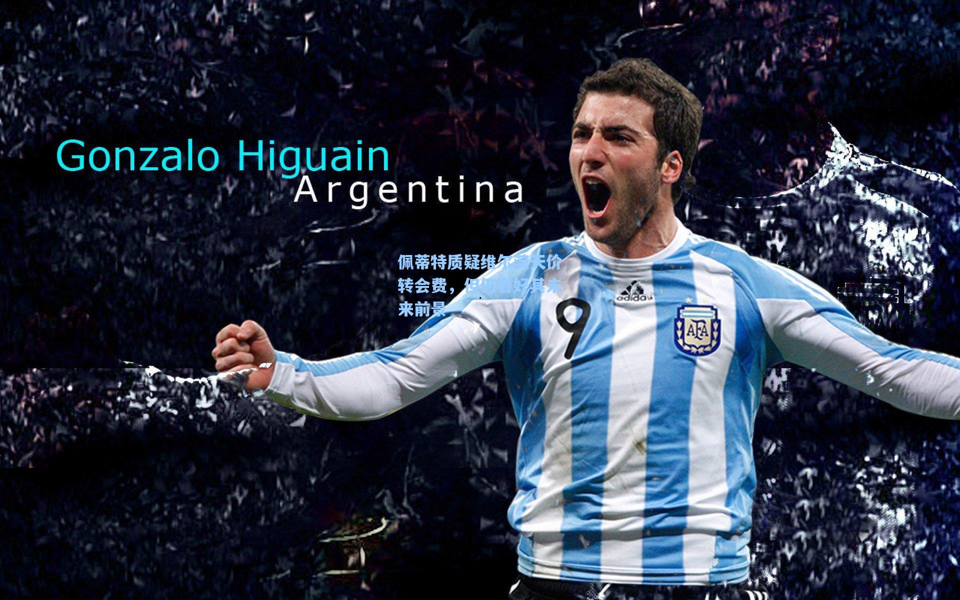 佩蒂特质疑维尔茨天价转会费，但仍看好其未来前景